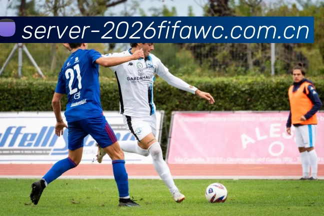 2026世界杯官方移动应用